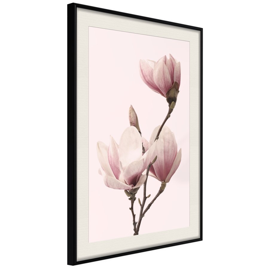 ARTGEIST Plakat med ramme - Blooming Magnolias III