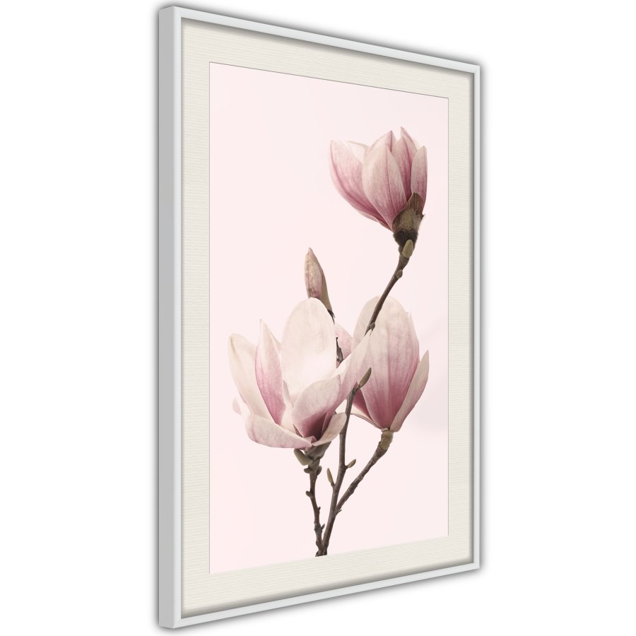 ARTGEIST Plakat med ramme - Blooming Magnolias III