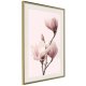 ARTGEIST Plakat med ramme - Blooming Magnolias III