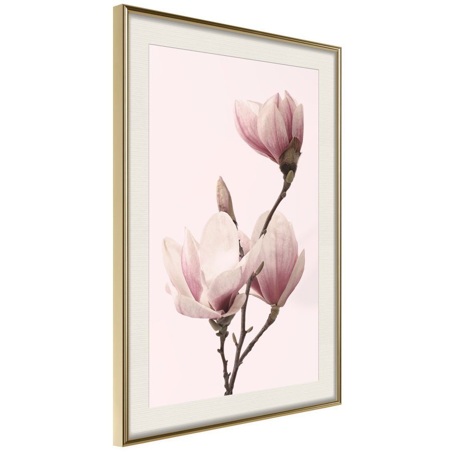 ARTGEIST Plakat med ramme - Blooming Magnolias III