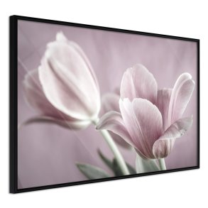 ARTGEIST Plakat med ramme - Pastel Tulips I
