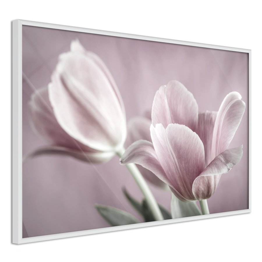 ARTGEIST Plakat med ramme - Pastel Tulips I