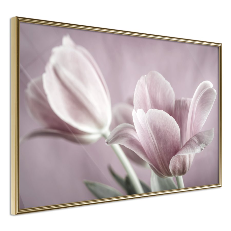 ARTGEIST Plakat med ramme - Pastel Tulips I