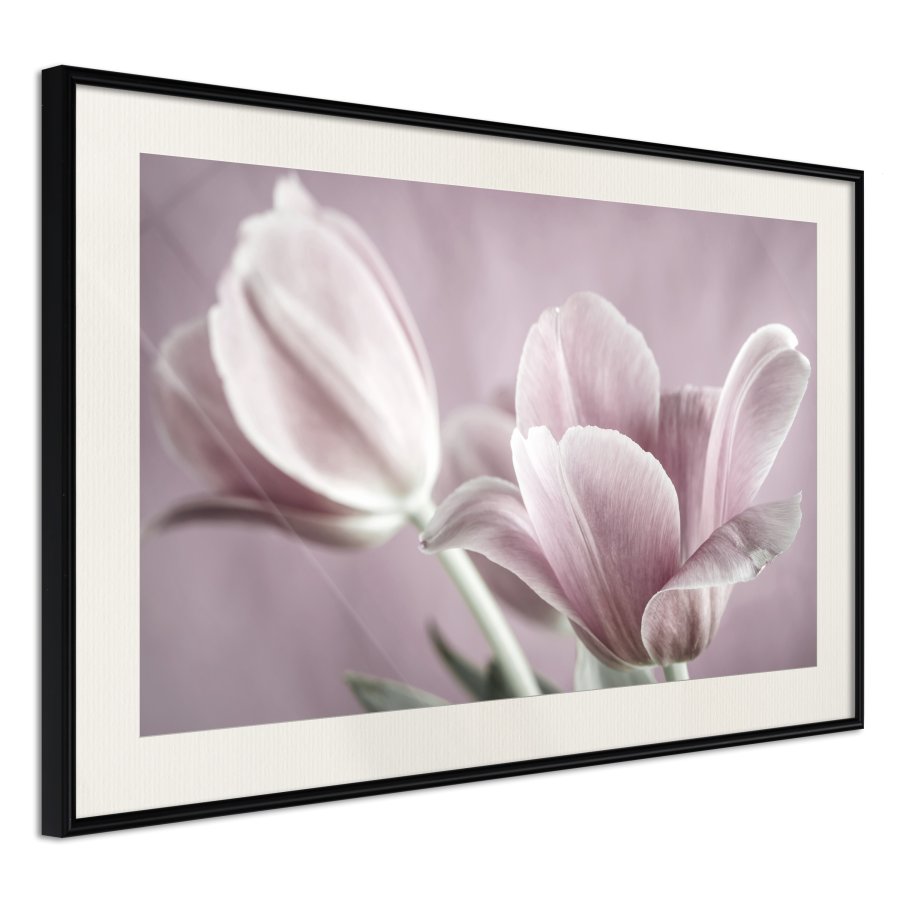 ARTGEIST Plakat med ramme - Pastel Tulips I
