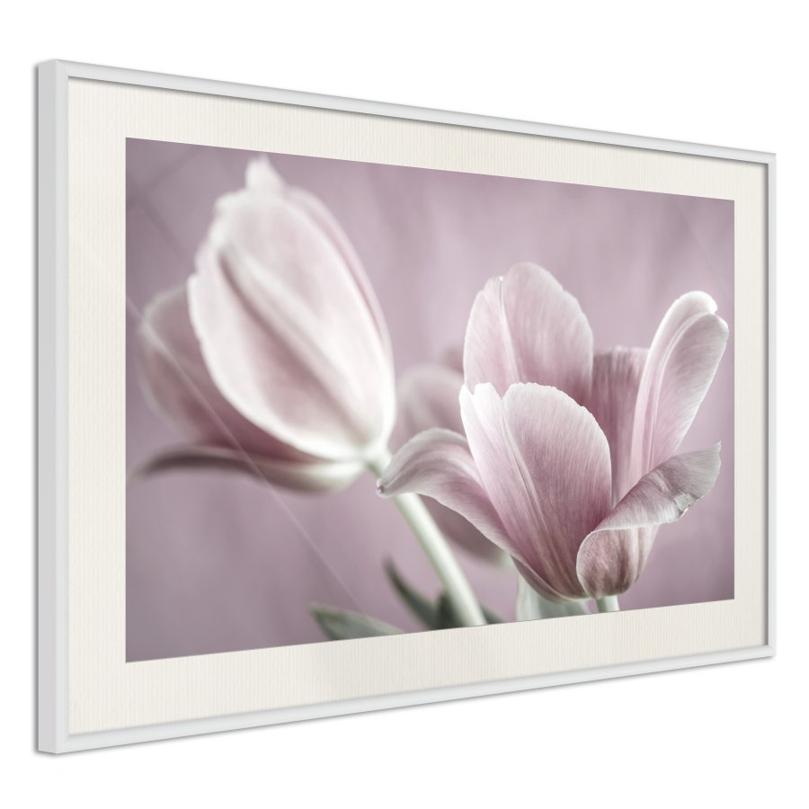 ARTGEIST Plakat med ramme - Pastel Tulips I
