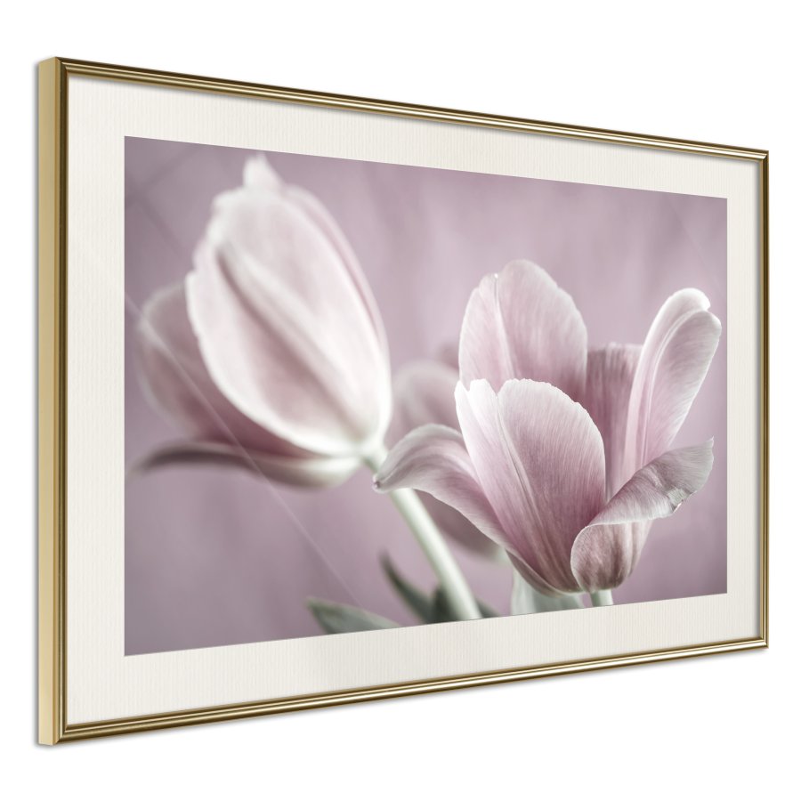 ARTGEIST Plakat med ramme - Pastel Tulips I