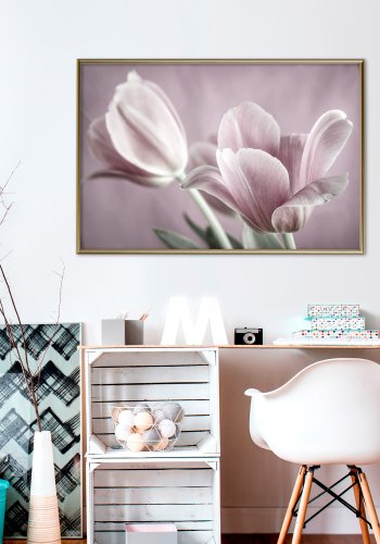 ARTGEIST Plakat med ramme - Pastel Tulips I