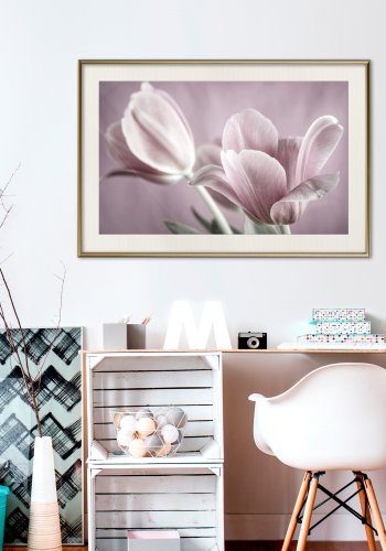 ARTGEIST Plakat med ramme - Pastel Tulips I