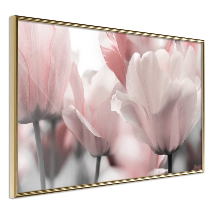 ARTGEIST Plakat med ramme - Pastel Tulips II