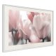 ARTGEIST Plakat med ramme - Pastel Tulips II