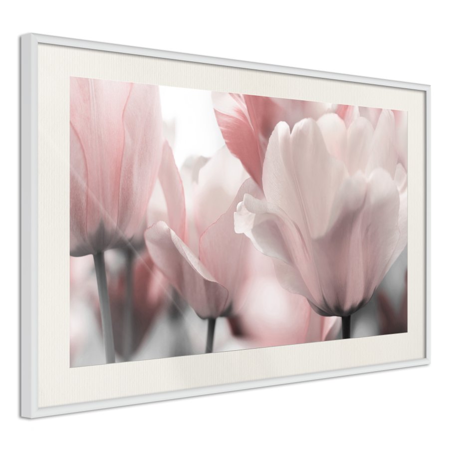 ARTGEIST Plakat med ramme - Pastel Tulips II