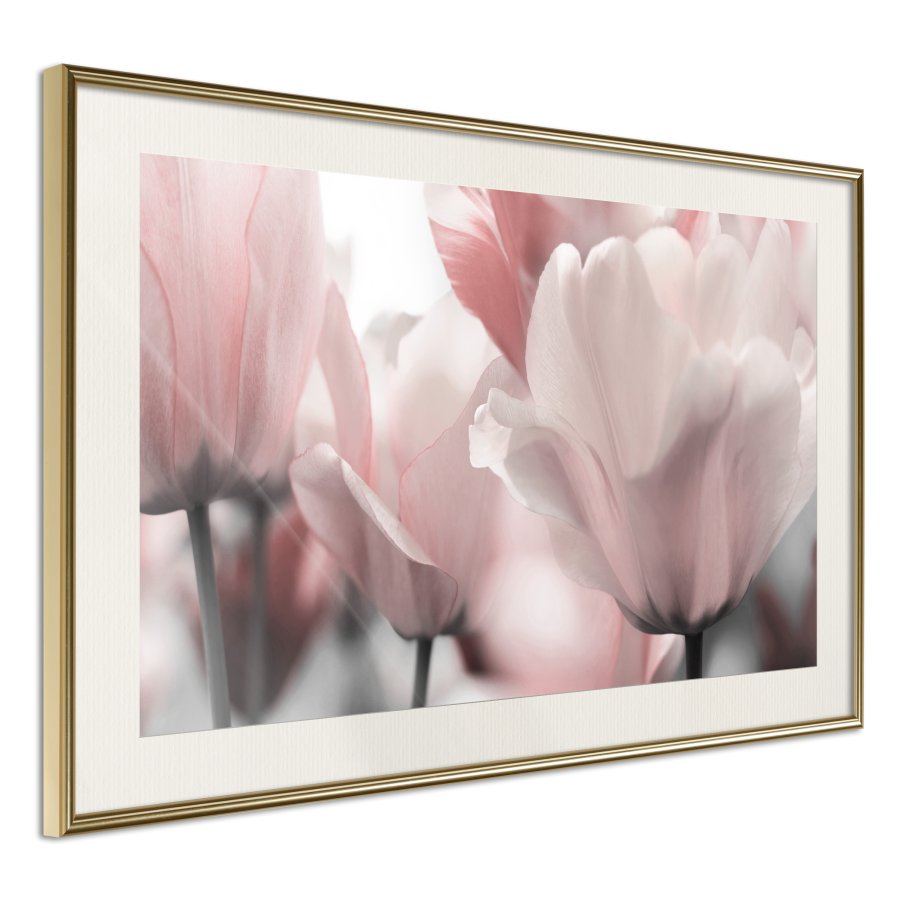 ARTGEIST Plakat med ramme - Pastel Tulips II