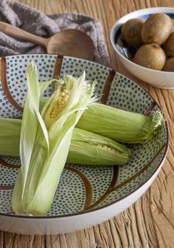 BLOOMINGVILLE Heikki Skl, Brun, Stentj