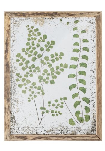 CREATIVE COLLECTION Tipper Illustration med ramme, Natur, Fyrretr