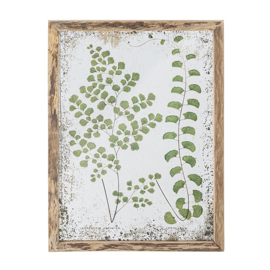 CREATIVE COLLECTION Tipper Illustration med ramme, Natur, Fyrretr