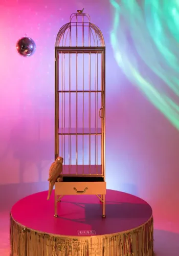 BOLD MONKEY Unlock Me skab, fuglebur design, m. 1 lge, 3 hylder og 1 skuffe - messing jern