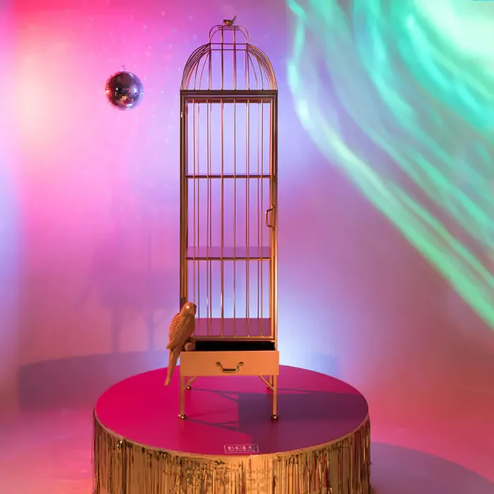 BOLD MONKEY Unlock Me skab, fuglebur design, m. 1 lge, 3 hylder og 1 skuffe - messing jern