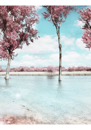 ARTGEIST fototapet - Autumn scenery, udsigt over vand og smukke trer (flere strrelser)