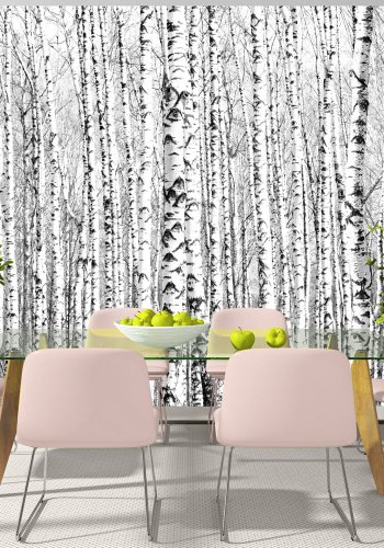 ARTGEIST - Fototapet af en tt skov af birketrer - Flere strrelser