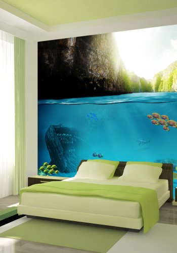 ARTGEIST - Fototapet med udsigt bde under vandet og over vandet - Flere strrelser