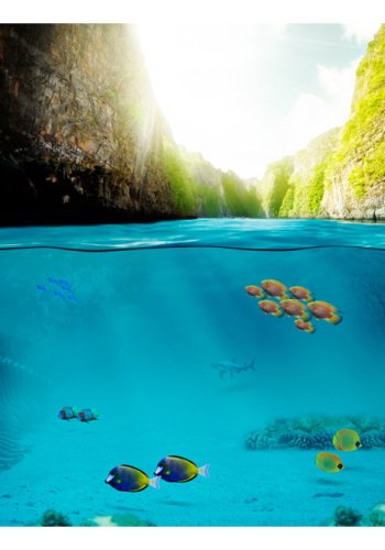 ARTGEIST - Fototapet med udsigt bde under vandet og over vandet - Flere strrelser