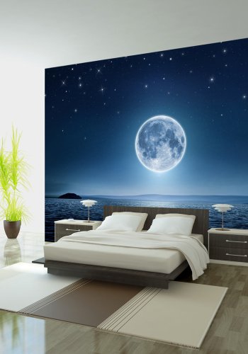 ARTGEIST - Fototapet af hvidt mneskin over vandet - Flere strrelser