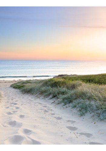 ARTGEIST - Fototapet med udsigt til en sti mellem klitterne og havet - Flere strrelser