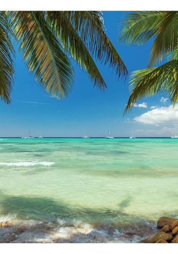 ARTGEIST - Fototapet med udsigt fra en solrig palmestrand - Flere strrelser