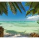 ARTGEIST - Fototapet med udsigt fra en solrig palmestrand - Flere strrelser