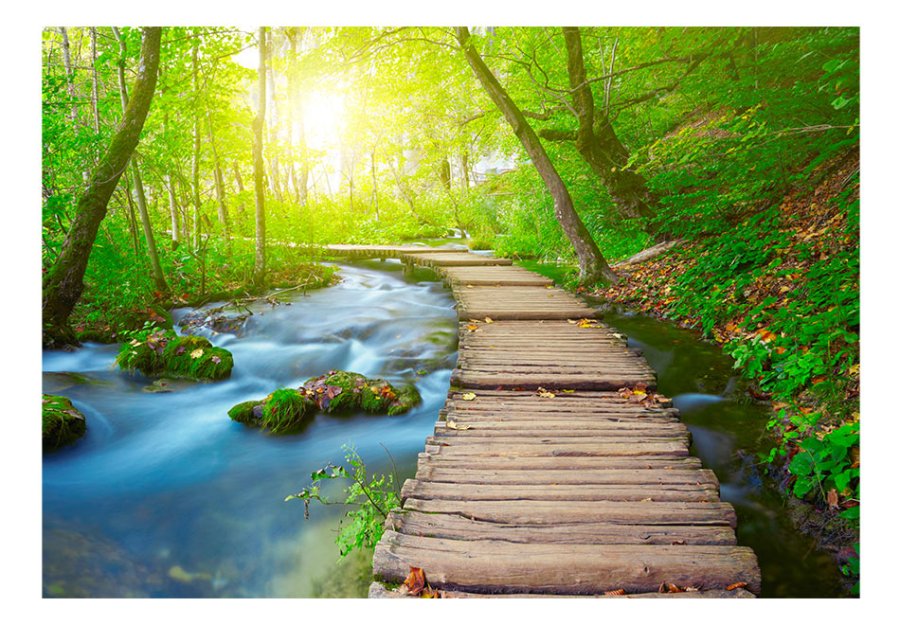 ARTGEIST fototapet - Green forest, bro i smuk skov (flere strrelser)