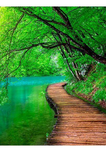 ARTGEIST fototapet - Green peace, bro langs s (flere strrelser)