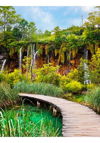 ARTGEIST fototapet - Green oasis, smuk oase (flere strrelser)