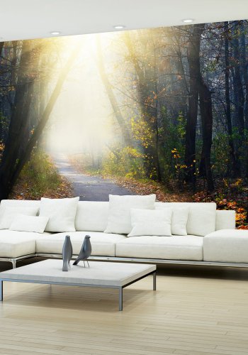 ARTGEIST Fototapet - Road through the Forest, klig skov (flere strrelser)