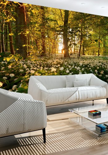 ARTGEIST - Fototapet af skovbund fyldt med hvide blomster - Flere strrelser