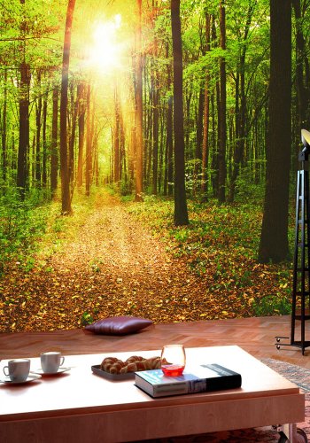 ARTGEIST fototapet - Mirror of Nature, idyllisk skovsti (flere strrelser)