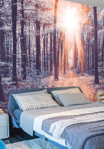 ARTGEIST fototapet - Edge of the Sun, skov med smukt lys fra sol (flere strrelser)