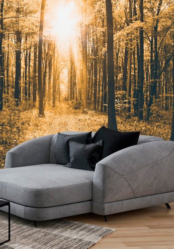 ARTGEIST fototapet - Magical Light, skov i gule toner med (flere strrelser)