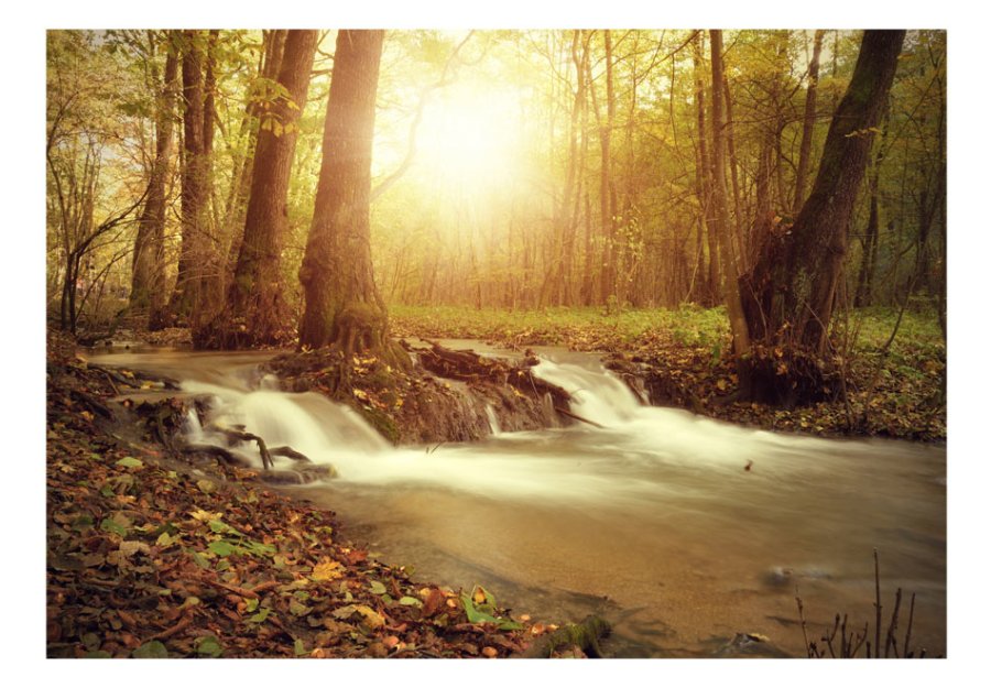 ARTGEIST fototapet - Sunny Current, solrig skov (flere strrelser)