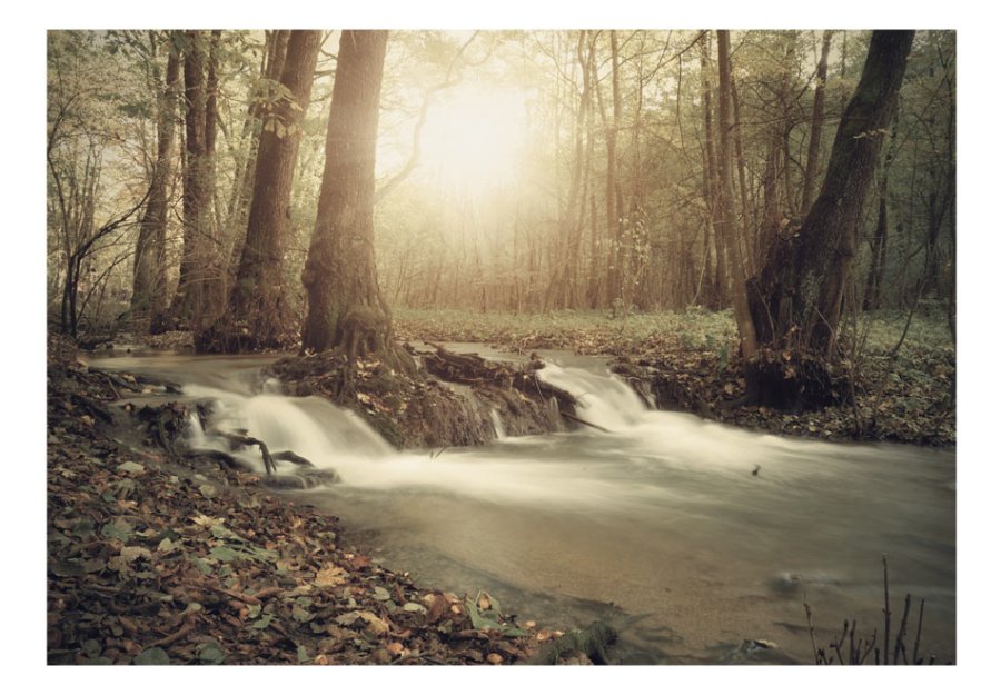 ARTGEIST fototapet - Forest Cascade, lille smukt vandfald