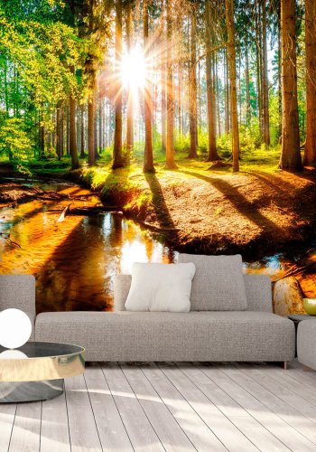 ARTGEIST fototapet - Marvelous Forest, Smuk udsigt i skoven (flere strrelser)