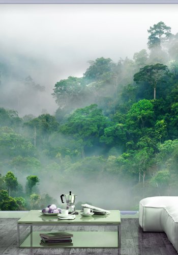 ARTGEIST Fototapet - Morning Fog morgentge i regnskov (flere strrelser)