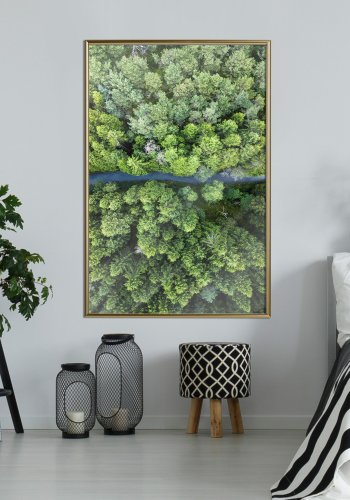 ARTGEIST Plakat med ramme - Forest from a Bird's Eye View