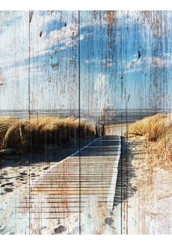 ARTGEIST Fototapet - Unforgettable Summer, sommerflelse (flere strrelser)