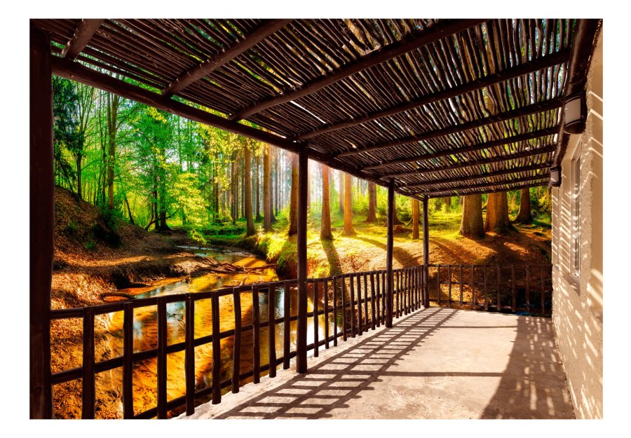 ARTGEIST fototapet - Getting Back to Nature, smuk skov (flere strrrelser)