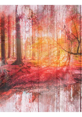 ARTGEIST Fototapet - Autumnal Forest, rustik forr (flere strrelser)