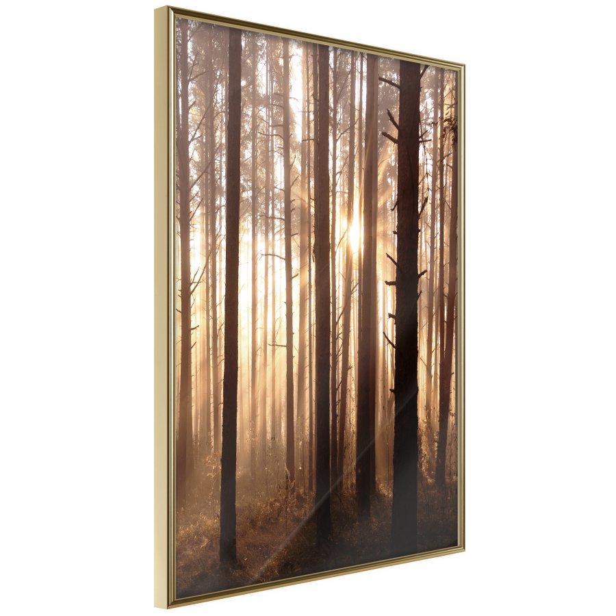 ARTGEIST Plakat med ramme - Morning in the Forest