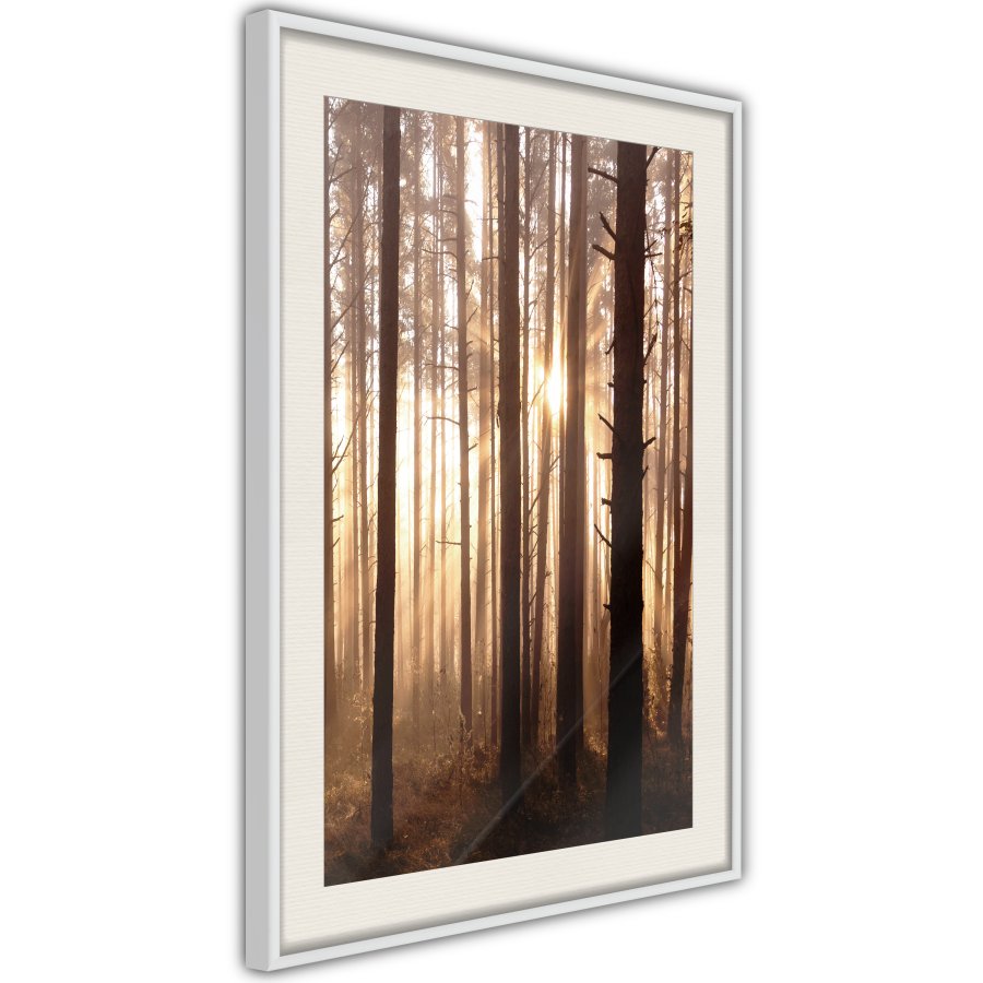 ARTGEIST Plakat med ramme - Morning in the Forest