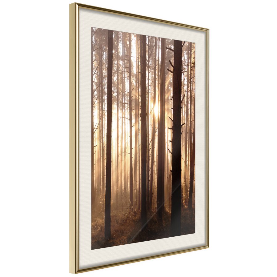 ARTGEIST Plakat med ramme - Morning in the Forest