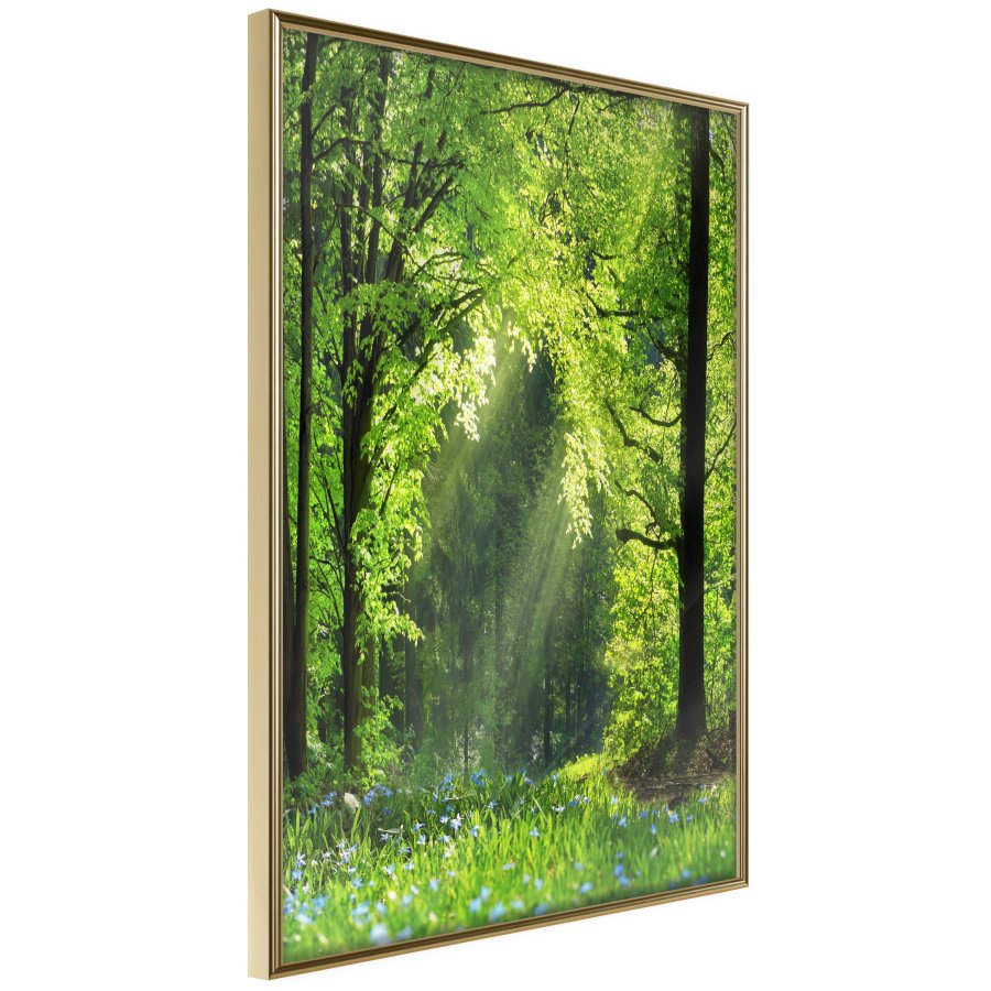 ARTGEIST Plakat med ramme - Forest Path