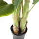 KARE DESIGN Banana Tree kunstig plante - grn ethylenvinylacetat og polyethylen (H:180cm)